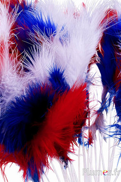 Panicule 3 piume - altezza 36 cm - rosso-bianco-blu